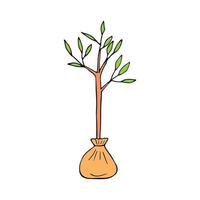 arbre de semis dessiné à la main dans un style doodle. vecteur, minimalisme, scandinave, dessin animé. jardinage, jeune plante, plantation. autocollant, icône, décor. vecteur