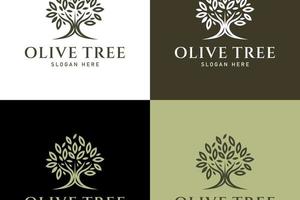 création de logo d'olivier vecteur