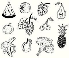 ensemble de fruits et légumes dessinés à la main. illustration vectorielle linéaire dans le même style. eps 10 vecteur