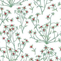 Floral pattern sans soudure. Fond de fleurs. Flourish papier peint avec des baies et des fleurs. vecteur