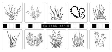 dessin abstrait à la main d'éléments de plantes aquatiques conception de l'ensemble d'éléments. style libre de dessin pour l'icône et utiliser l'arrière-plan. illustration vecteur