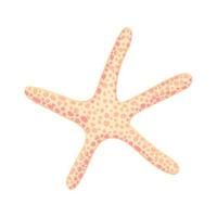 étoile de mer dessinée à la main dans un style de dessin animé plat. icône marine. été nature océan aquatique illustration vectorielle sous-marine pour la conception graphique, site web. vecteur