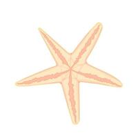 étoile de mer dessinée à la main dans un style de dessin animé plat. icône marine. été nature océan aquatique illustration vectorielle sous-marine pour la conception graphique, site web. vecteur