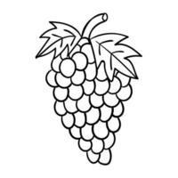 dessin animé doodle raisins linéaires isolés sur fond blanc. vecteur