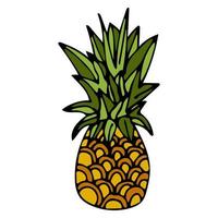 ananas dessiné à la main avec contour noir isolé sur fond blanc. ananas de dessin animé. vecteur