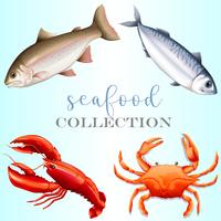 Collection de fruits de mer vecteur