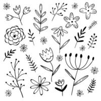 ensemble vectoriel de brindilles de fleurs dans un style doodle isolé sur fond blanc. main dessiner illustration vectorielle. collection d'éléments décoratifs.