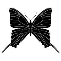 Contour de silhouette d'insecte papillon sur fond blanc vecteur