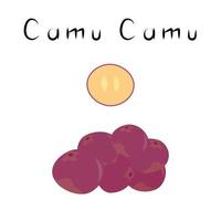 fruits de camu camu. produit naturel de désintoxication sain. organik complément alimentaire aux fruits. superaliment, baie pour l'homéopathie. illustration vectorielle de dessin animé vecteur