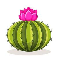cactus avec des épines et des fleurs. plante verte mexicaine avec des épines. élément du paysage désertique et méridional. illustration de vecteur plat de dessin animé. isolé sur fond blanc.