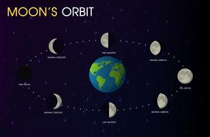 Les phases de la lune. vecteur