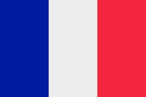 icône de vecteur de drapeau français. le drapeau français