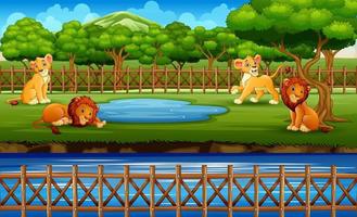 scène avec des lions à l'illustration du zoo ouvert vecteur
