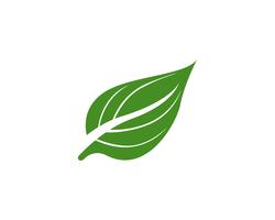 icône de vecteur feuille verte écologie nature élément