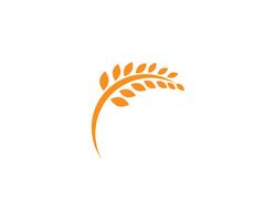 Agriculture Logo Logo Template, icône de vecteur de logo vie saine