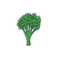 illustration vectorielle dessinée à la main d'un brocoli dans un style de ligne unique. jolie illustration d'un légume sur fond blanc. vecteur
