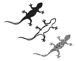 Lézard caméléon gecko silhouette noir