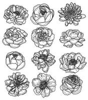 fleurs ensemble main croquis dessin noir et blanc vecteur