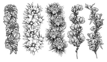 tatouage fleurs art main dessin croquis noir et blanc vecteur