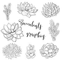 Succulentes. Graphique. Livre de coloriage. Noir. Illustration vectorielle vecteur