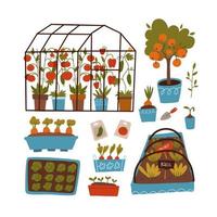 ensemble de plantes et de scènes - serre, lits, pots et étagères avec plantes, graines et germes. notion de jardinage. illustration vectorielle plate