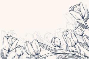illustration de fond tulipe dessiné à la main vecteur