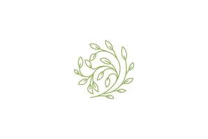 élégant fleur floral feuille ligne contour logo design vecteur