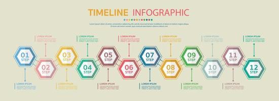 chronologie de 12 mois, modèle d'infographie pour les entreprises. vecteur