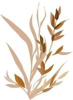 aquarelle leaves.elements of nature.vector. vecteur