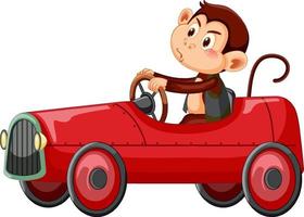 petit singe conduisant une voiture de course rouge sur fond blanc vecteur