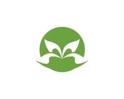 modèle de logo et symbole nature feuille verte vecteur