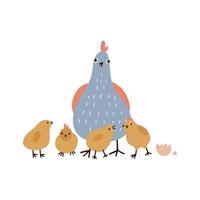 poule mignonne et poulets jaunes isolés sur fond blanc. maman écoute un bébé oiseau drôle battant des ailes. illustration vectorielle plane colorée. vecteur