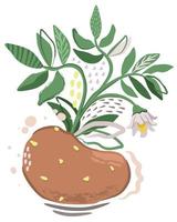 illustration abstraite décorative de vecteur de pomme de terre.