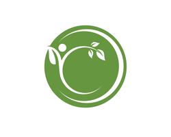modèle de logo et symbole nature feuille verte vecteur