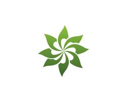 modèle de logo et symbole nature feuille verte vecteur