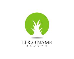 modèle de logo et symbole nature feuille verte vecteur