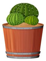 Cactus en pot vecteur