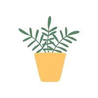 plante d'intérieur en pot. jolie plante d'intérieur dans un pot jaune. belle plante aux feuilles vertes. illustration vectorielle dans un style dessiné à la main. vecteur