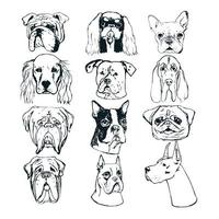 portraits de chiens dessinés à la main sur fond blanc.