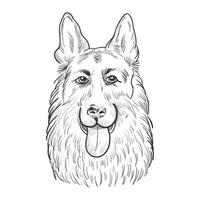 visage de chien de berger allemand isolé sur fond blanc. vecteur
