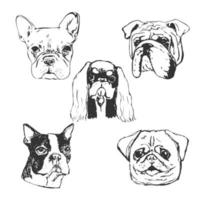 illustration vectorielle de chien. portraits de chiens dessinés à la main. vecteur