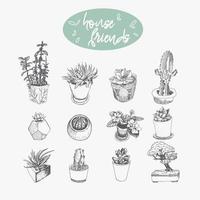 ensemble de plantes dessinées à la main dans des pots isolés sur fond blanc. vecteur