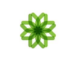 modèle de logo et symbole nature feuille verte vecteur