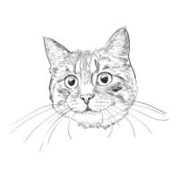 croquis dessiné à la main de tête de chat mignon. vecteur