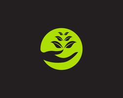 Icône de vecteur logos feuille verte écologie nature élément