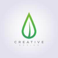 Feuille goutte d&#39;eau Vector Illustration Design Clipart Logo Logo Template