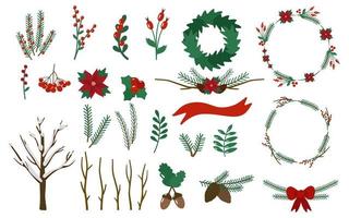 ensemble de brindilles de noël, baies, couronnes. houx, poinsettia, sorbier, églantier, gland, pomme de pin. illustration vectorielle. vecteur