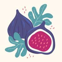 figues modernes dans un style dessiné à la main. illustration vectorielle vecteur