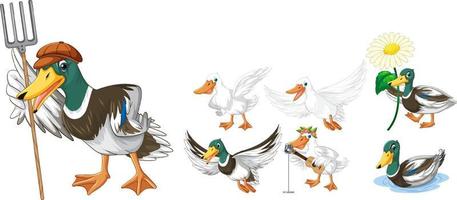 ensemble de différentes poses de personnages de dessins animés de canards vecteur