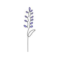 une seule ligne continue de fleur de printemps lupin de couleur bleue vecteur